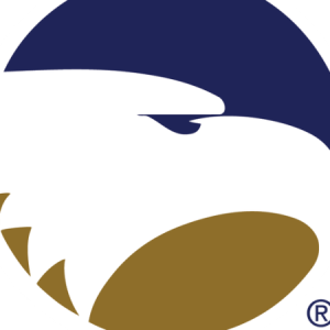 Group logo of Georgia Southern University